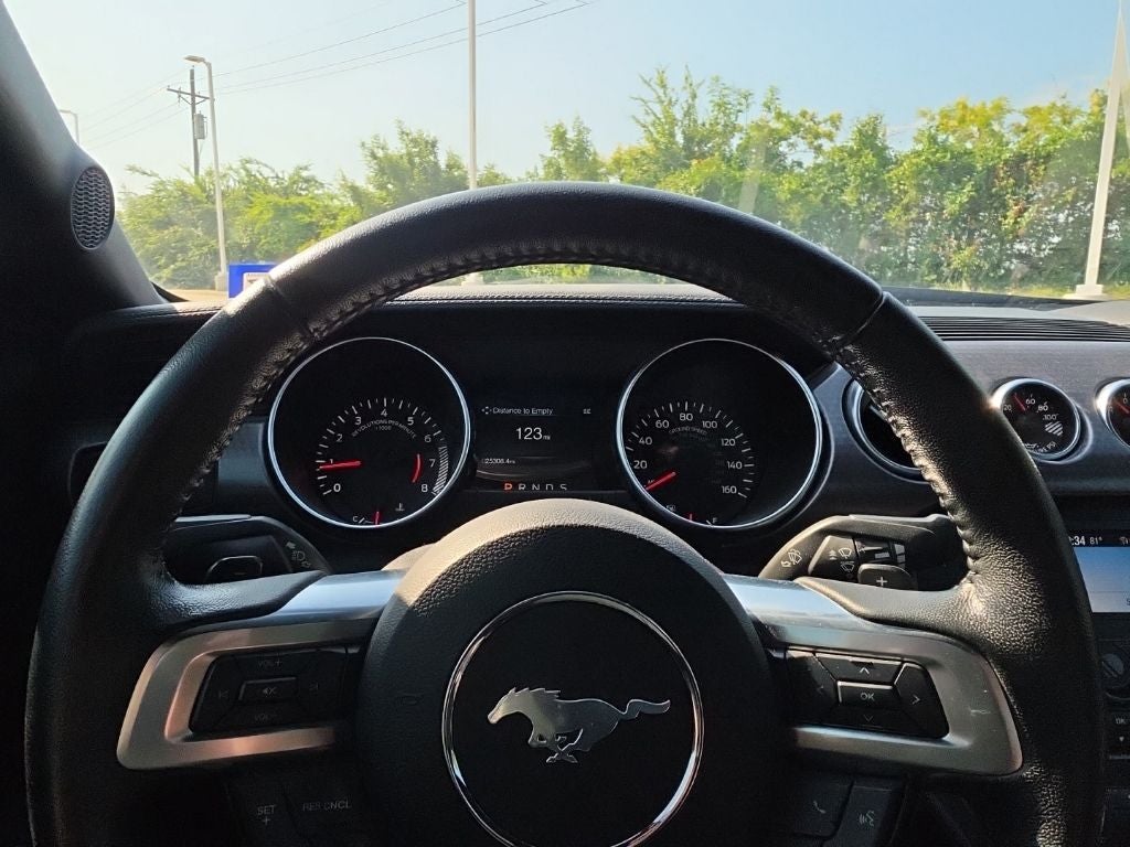 2019 Ford Mustang EcoBoost