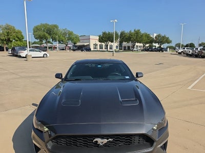 2019 Ford Mustang EcoBoost
