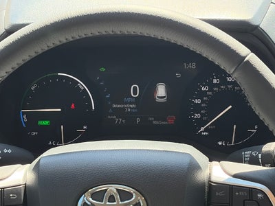 2026 Toyota Sienna XLE 8 Passenger
