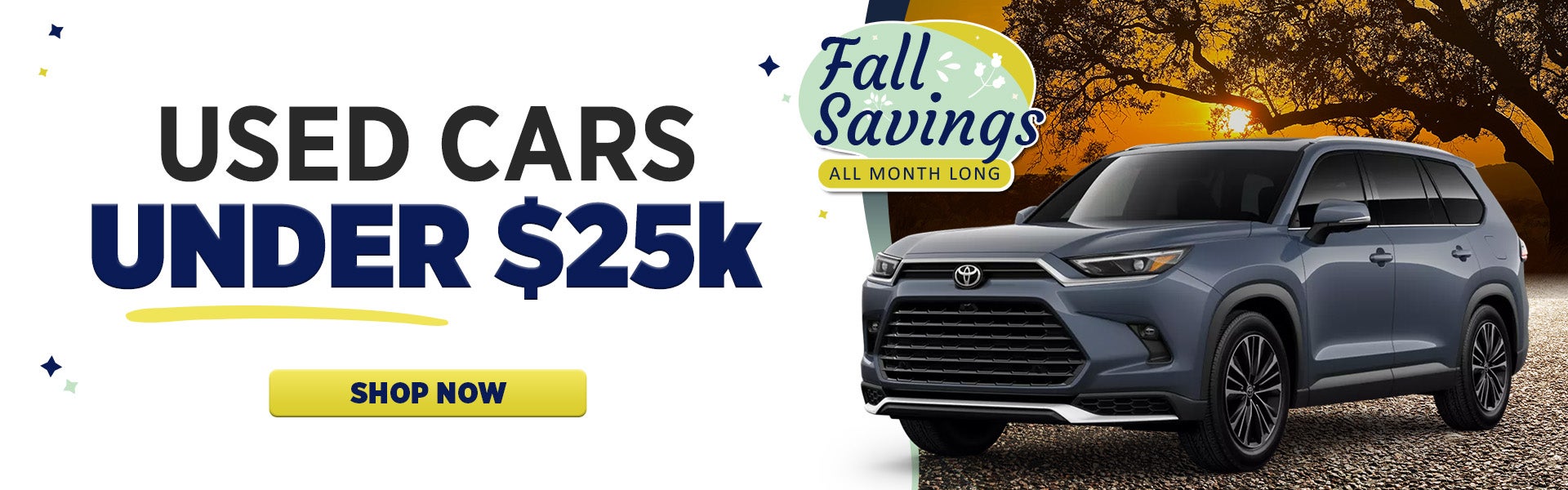 Shop Used Cars Under $25,000