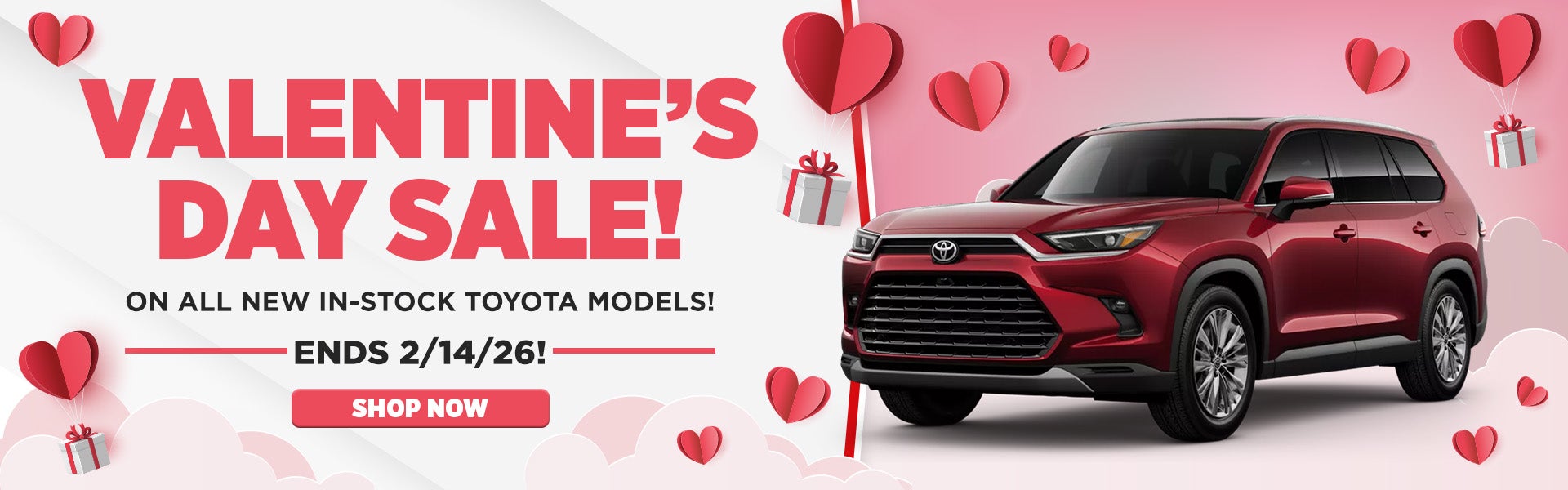 Valentine's Day Sale