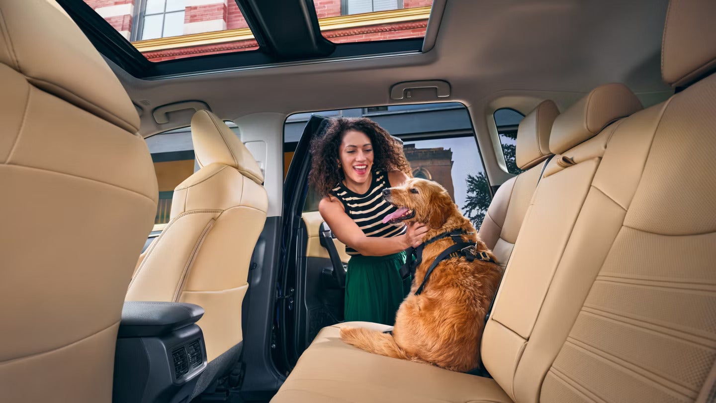 beige backseat interior of a 2025 toyota rav4 suv with a gold retriever in the backseat and a woman standing next to it.
