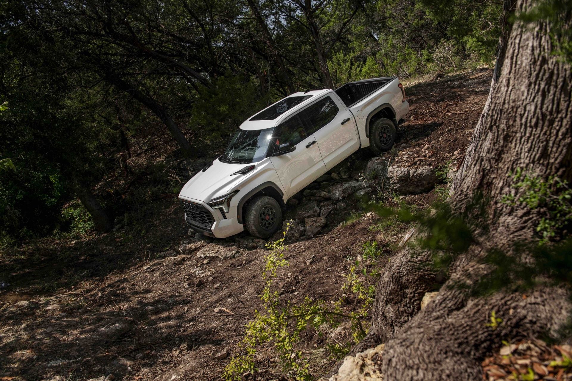 A white truck driving off road.