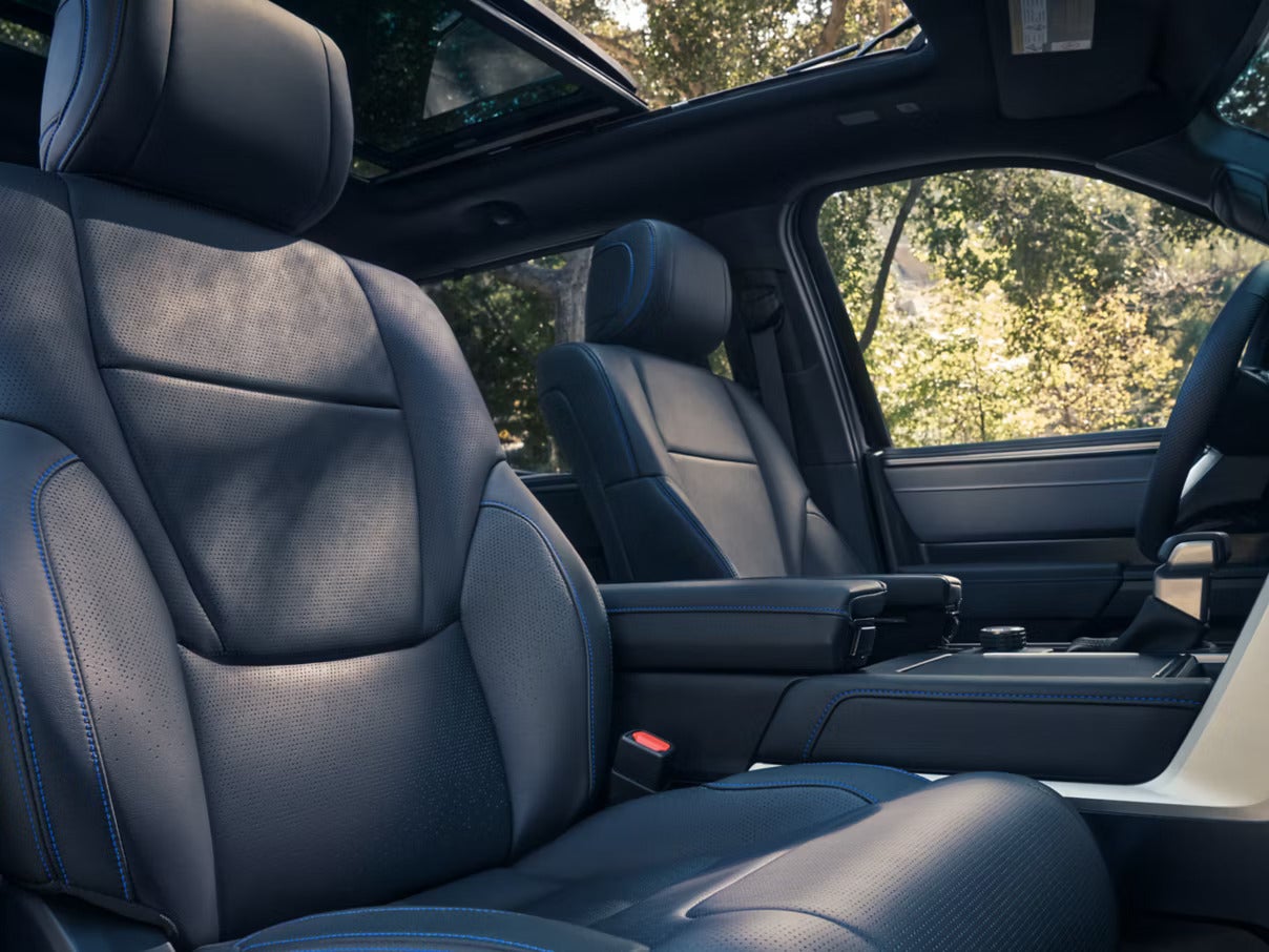 The interior of a tundra.